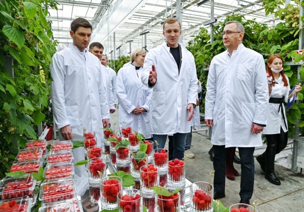 Владислав Шапша принял участие в открытии научно-производственного агрокомплекса по выращиванию малины