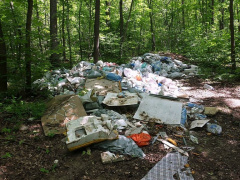 ГКУ КО "Боровское лесничество" - "Не отставляйте мусор в лесу!"